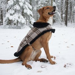Doggie Design Sherpa-Lined Dog Jacket, Brown & White Plaid, Small slide 2 of 5