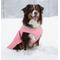 Show in main carousel: Doggie Design Alpine Extreme Weather Waterproof Insulated Dog Puffer Coat, Peach, Small slide 3 of 5