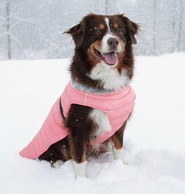 Show full view: Doggie Design Alpine Extreme Weather Waterproof Insulated Dog Puffer Coat, Peach, Small slide 3 of 5