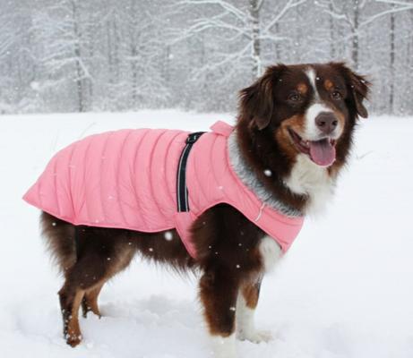 Show full view: Doggie Design Alpine Extreme Weather Waterproof Insulated Dog Puffer Coat, Peach, Small slide 5 of 5