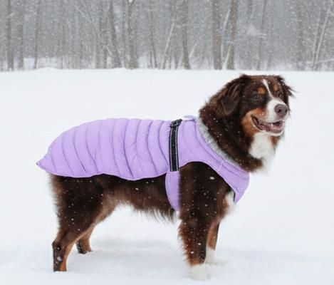 Show full view: Doggie Design Alpine Extreme Weather Waterproof Insulated Dog Puffer Coat, Soft Plum, Large slide 3 of 4