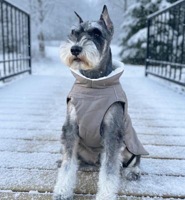 Show full view: Doggie Design Alpine Tuf Terrain Dog Parka, Dried Sage, Medium slide 5 of 5