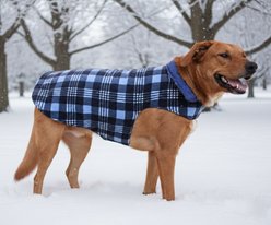 Doggie Design Reversible Fleece Lined Puffer Dog Jacket, Blue Plaid, Medium slide 2 of 5