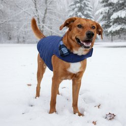 Doggie Design Reversible Fleece Lined Puffer Dog Jacket, Blue Plaid, XX-Large slide 2 of 5