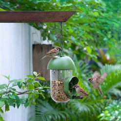 LONA Love Nature 1-Port Finch Wild Bird Tube Feeder, Green, 450-mL