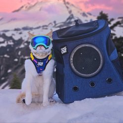 Travel Cat Fat Cat Airline Approved Bubble Backpack Cat Carrier, Navy slide 2 of 9