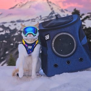 Travel Cat Fat Cat Airline Approved Bubble Backpack Cat Carrier, Navy