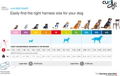 Curli Glow Large Dog Harness, Gray, XXX-Large: 27.61 to 31.06-in chest slide 2 of 4