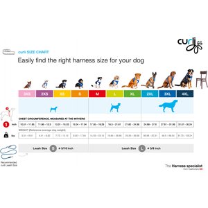 Curli Clasp Vest Air-Mesh Dog Harness, Blue, Medium