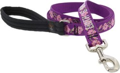 LupinePet Personalized Nature Inspired Original Design Rose Garden Padded Handle Dog Leash, Regular: 6-ft long, 1-in wide slide 1 of 8