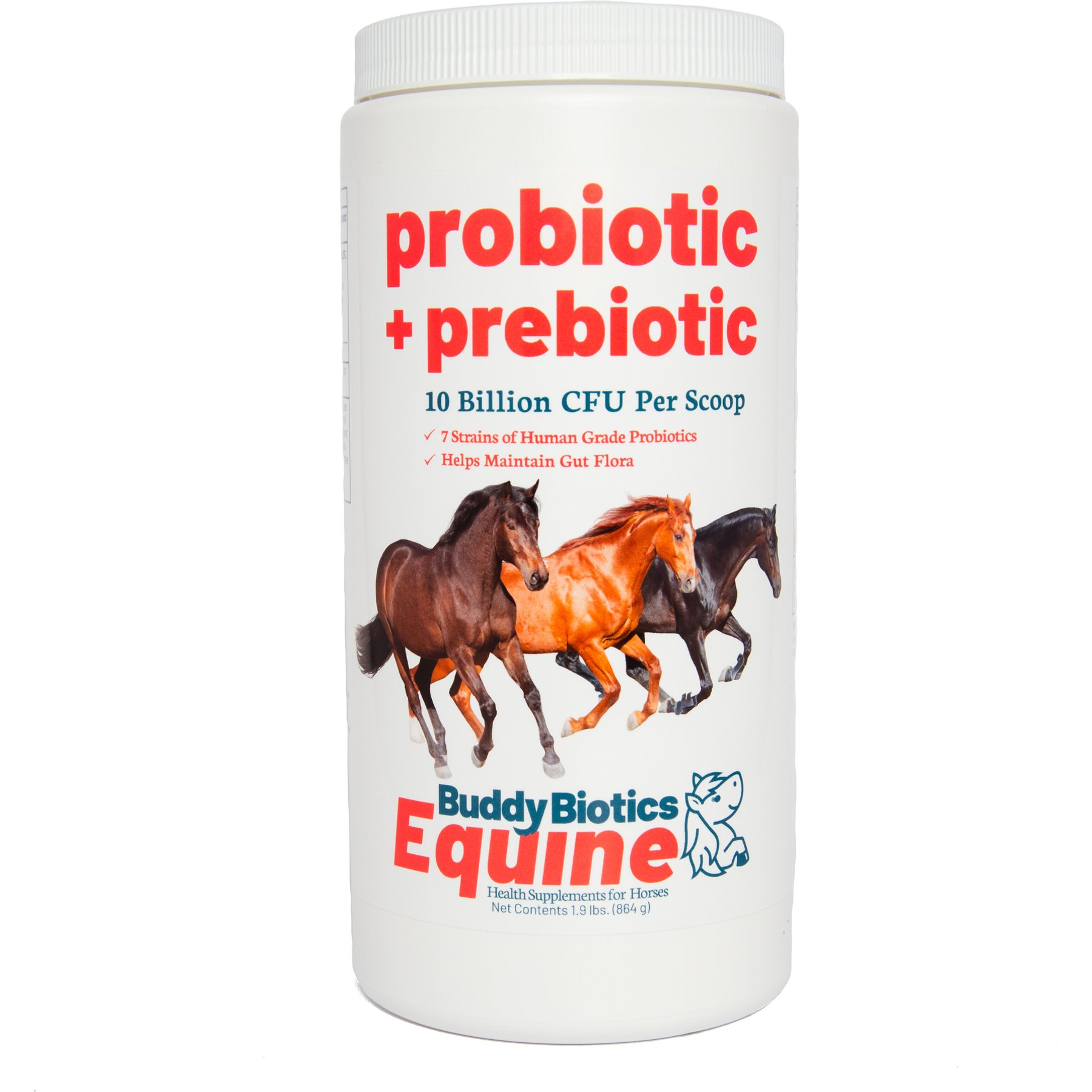 BuddyBiotics Equine Probiotic + Prebiotic Powder Supplement for Horses, 864-g jar