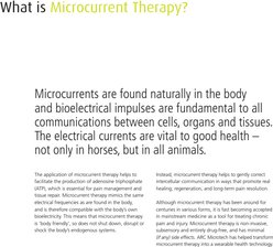 ArcEquine Microcurrent Therapy System slide 2 of 7