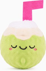 HugSmart Beach Daze Coconut Dog Toy