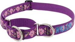 LupinePet Personalized Nature Inspired Original Design Rose Garden Martingale Dog Collar, Large: 15 to 22 in, 1-in wide