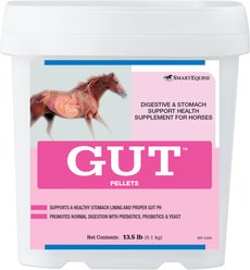 SmartEquine Gut Pellets Pellets Horse Supplement, 13.5-lb pail