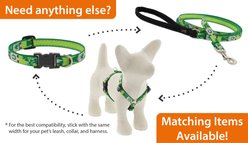 LupinePet St. Patricks Day Padded Handle Nylon Standard Small Dog & Cat Leash, Lucky Gnomes, Regular: 6-ft long, 1/2-in wide slide 2 of 5