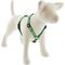 Show in main carousel: LupinePet St. Patricks Day Adjustable Dog Harness, Lucky Gnomes, Small: 12 to 20-in chest, 3/4-in wide slide 1 of 6