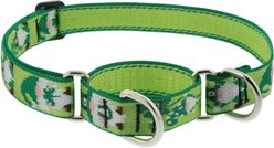 LupinePet St. Patricks Day Adjustable Nylon Martingale Training Dog Collar, Lucky Gnomes, X-Large: 19 to 27-in neck, 1-in wide