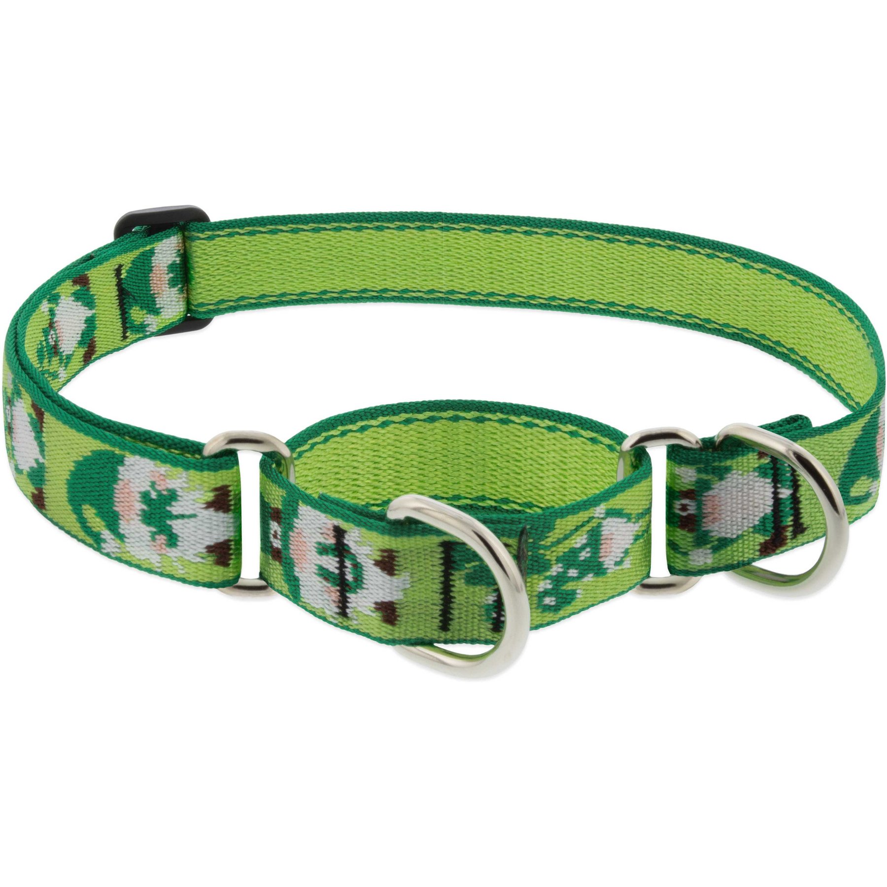 LupinePet St. Patricks Day Adjustable Nylon Martingale Training Dog Collar, Lucky Gnomes, Large: 15 to 22-in neck, 1-in wide