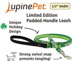 LupinePet St. Patricks Day Padded Handle Nylon Standard Small Dog & Cat Leash, Lucky Gnomes, Regular: 4-ft long, 1/2-in wide slide 2 of 5