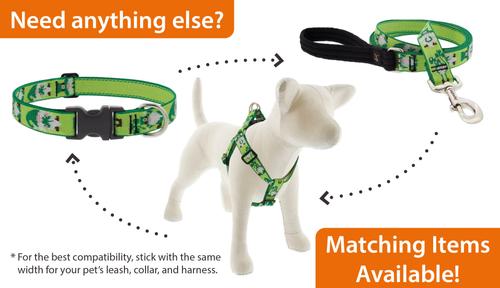 Show full view: LupinePet St. Patricks Day Adjustable Nylon Dog Collar, Lucky Gnomes, X-Large: 25 to 31-in neck, 1-in wide slide 6 of 7