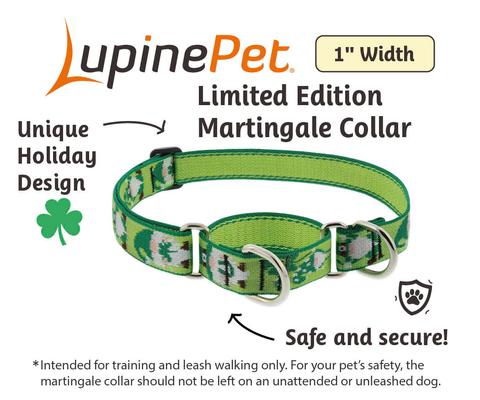 Show full view: LupinePet St. Patricks Day Adjustable Nylon Martingale Training Dog Collar, Lucky Gnomes, Large: 15 to 22-in neck, 1-in wide slide 2 of 6