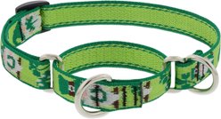 LupinePet St. Patricks Day Adjustable Nylon Martingale Training Dog Collar, Lucky Gnomes, Small: 10 to 14-in neck, 3/4-in wide