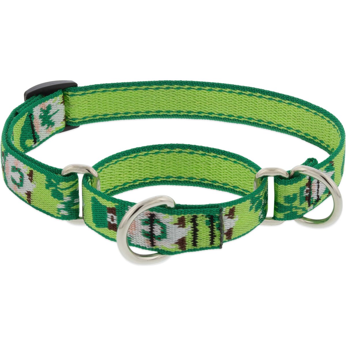 LupinePet St. Patricks Day Adjustable Nylon Martingale Training Dog Collar, Lucky Gnomes, Small: 10 to 14-in neck, 3/4-in wide