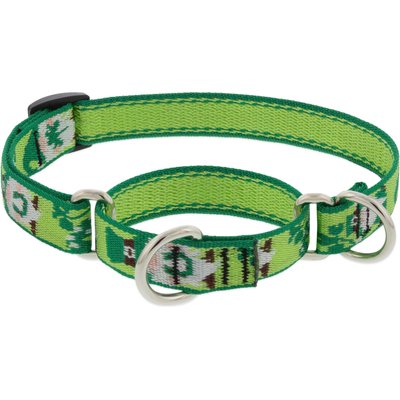 LupinePet LupinePet St. Patricks Day Adjustable Nylon Martingale Training Dog Collar, Lucky Gnomes, Small: 10 to 14-in neck, 3/4-in wide