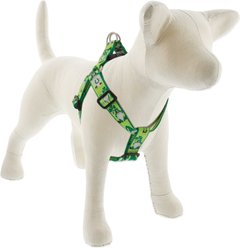 LupinePet St. Patricks Day Adjustable Step In Dog Harness, Lucky Gnomes, Large: 24 to 38-in chest, 1-in wide