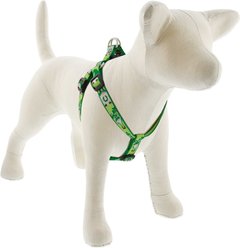 LupinePet St. Patricks Day Adjustable Step In Dog Harness, Lucky Gnomes, Medium/Large: 20 to 30-in chest, 3/4-in wide