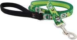LupinePet St. Patricks Day Padded Handle Nylon Standard Dog Leash, Lucky Gnomes, Regular: 4-ft long, 3/4-in wide