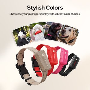 SATELLAI Go Smart GPS Dog Collar with Live Tracking & Health Monitoring, Carbon Black, Large