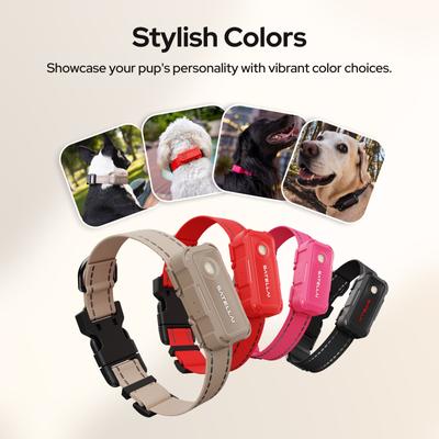 Show full view: SATELLAI Go Smart GPS Dog Collar with Live Tracking & Health Monitoring, Carbon Black, Medium slide 8 of 10