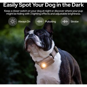 SATELLAI Go Smart GPS Dog Collar with Live Tracking & Health Monitoring, Carbon Black, Large
