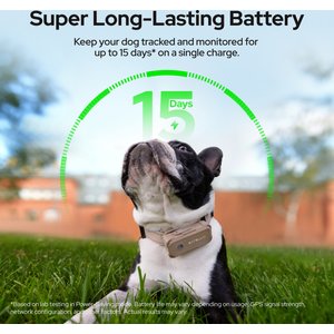 SATELLAI Go Smart GPS Dog Collar with Live Tracking & Health Monitoring, Carbon Black, Large