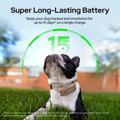 Show full view: SATELLAI Go Smart GPS Dog Collar with Live Tracking & Health Monitoring, Carbon Black, Medium slide 5 of 10