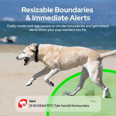 Show full view: SATELLAI Go Smart GPS Dog Collar with Live Tracking & Health Monitoring, Carbon Black, Medium slide 3 of 10