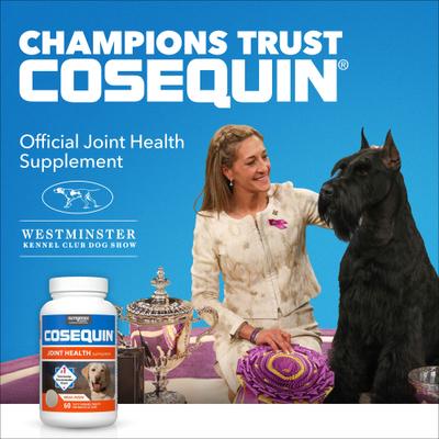Show full view: Nutramax Cosequin Joint Health Supplement with Glucosamine, Chondroitin, MSM & Omega-3's Soft Chews for Dogs, 120 count slide 3 of 12
