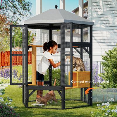 Show full view: TIMHAKA Catio Outdoor Multiple Platform Cat Enclosure, Black & Yellow slide 5 of 7