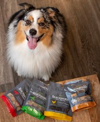 Blackwood Bacon & Peanut Butter Oven Baked Dog Treats, 8-oz bag slide 2 of 8