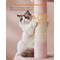 Show in main carousel: FEANDREA 39.8-in Heavy-Duty Plush Cat Tree Tower & Condo with Large Perch, 2 Cat Caves & Scratching Post, X-Large, Jelly Pink slide 4 of 7