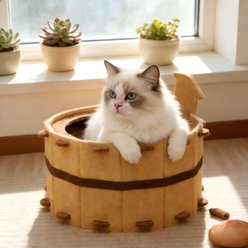 Gapzer Felt Four-Season Enclosed House Cat Cave Bed, Coffee, Large