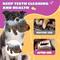 Show in main carousel: FUUFOME Durable Squeaky Plush Honey Badger Dog Toy slide 2 of 8