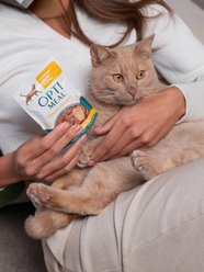 Optimeal Grain-Free Tender Morsels Chicken Recipe with Real Chicken Breast in Gravy Adult Wet Cat Food, 3-oz pouch, case of 12 slide 2 of 6