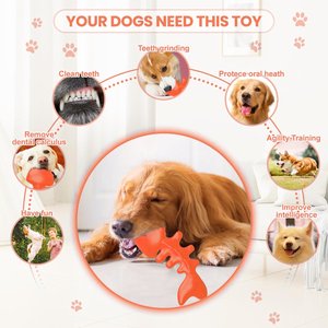 FUUFOME Durable Nylon Fishbone Bacon Flavored Chew Dog Toy