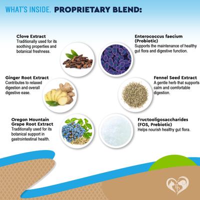 Show full view: Beloved Pets DEWO Anti-Parasitic Liquid Digestive Aid for Dogs & Cats, 2-fl oz bottle slide 5 of 9