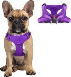 BARKBAY Adjustable Reflective Step In No Pull Small & Medium Dog Vest Harness, Purple, Small: 15 to 21-in chest