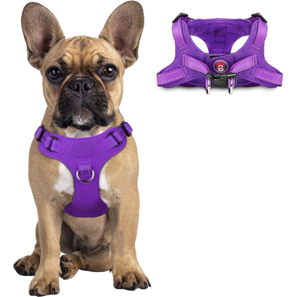 BARKBAY Adjustable Reflective Step In No Pull Small & Medium Dog Vest Harness, Purple, Small: 15 to 22-in chest