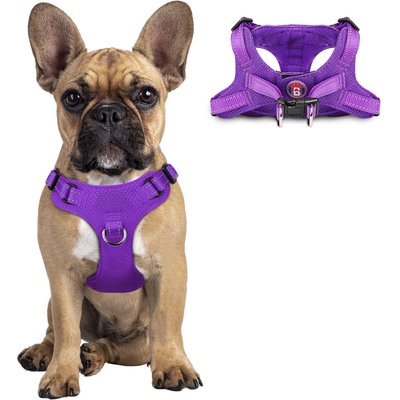 BARKBAY BARKBAY Adjustable Reflective Step In No Pull Small & Medium Dog Vest Harness, Purple, Small: 15 to 22-in chest